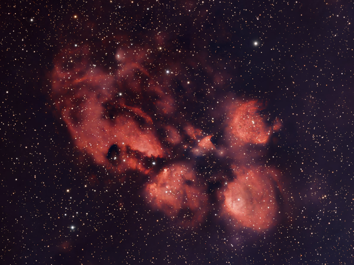 Catspaw Nebula