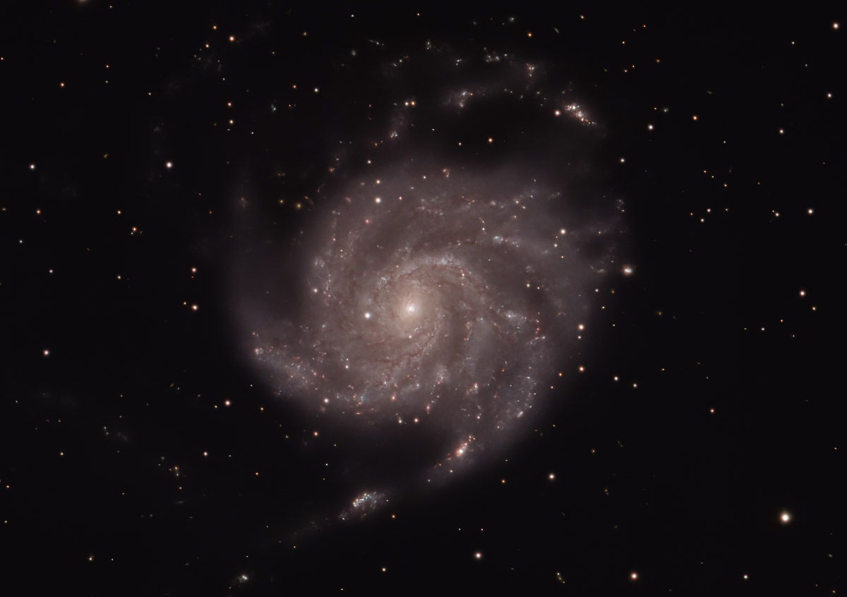 Pinwheel